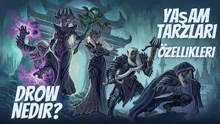 Drow Irkı Tanıtımı Dnd Özelikleri Yaşayız Tarzları Baldurs Gate