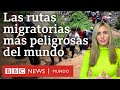 Cuáles son las rutas migratorias más peligrosas del mundo | BBC Mundo