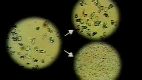 Nisshin Engineering Turbo-Classifier video