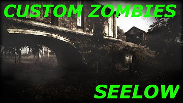 Custom Zombies: Seelow (Full Playthrough)