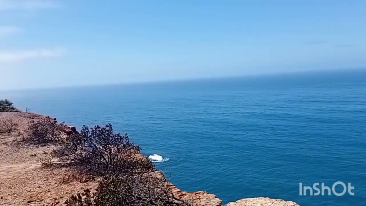 Magnetic Compass footage