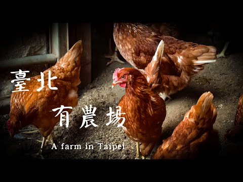 110年臺北好農 - 臺北有農場 #臺北士林 #芝山有機農場