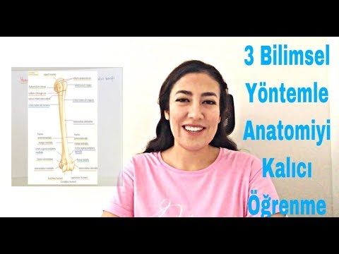 Video: Anatomi Nasıl Geçilir