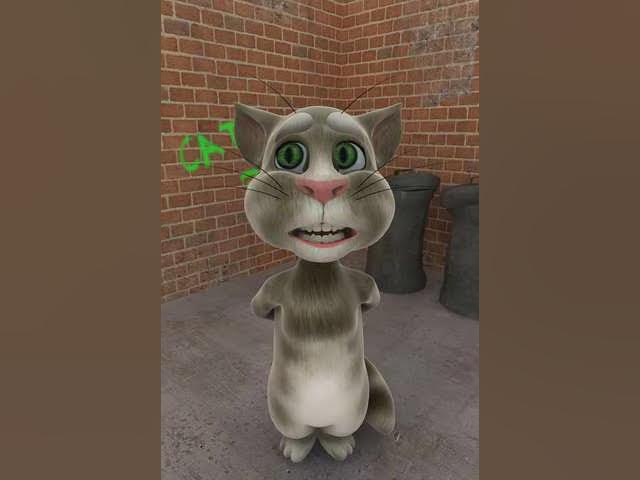 Talking Tom-Thunder Buddies Song-Ted the Movie