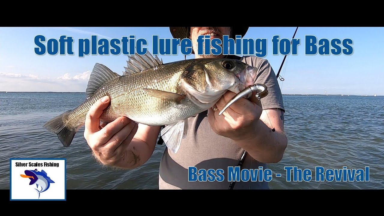 Bass Lure fishing for European Sea Bass with soft plastics