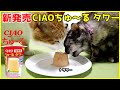 新発売！いなば CIAOちゅ～る タワーをあげてみた