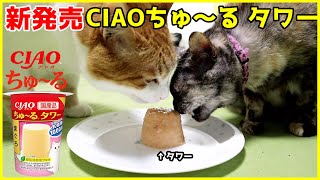 新発売！いなば CIAOちゅ～る タワーをあげてみた