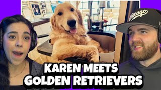 Funniest Golden Retrievers of All Time | Dogs That Make You Laugh | First Time Reaction