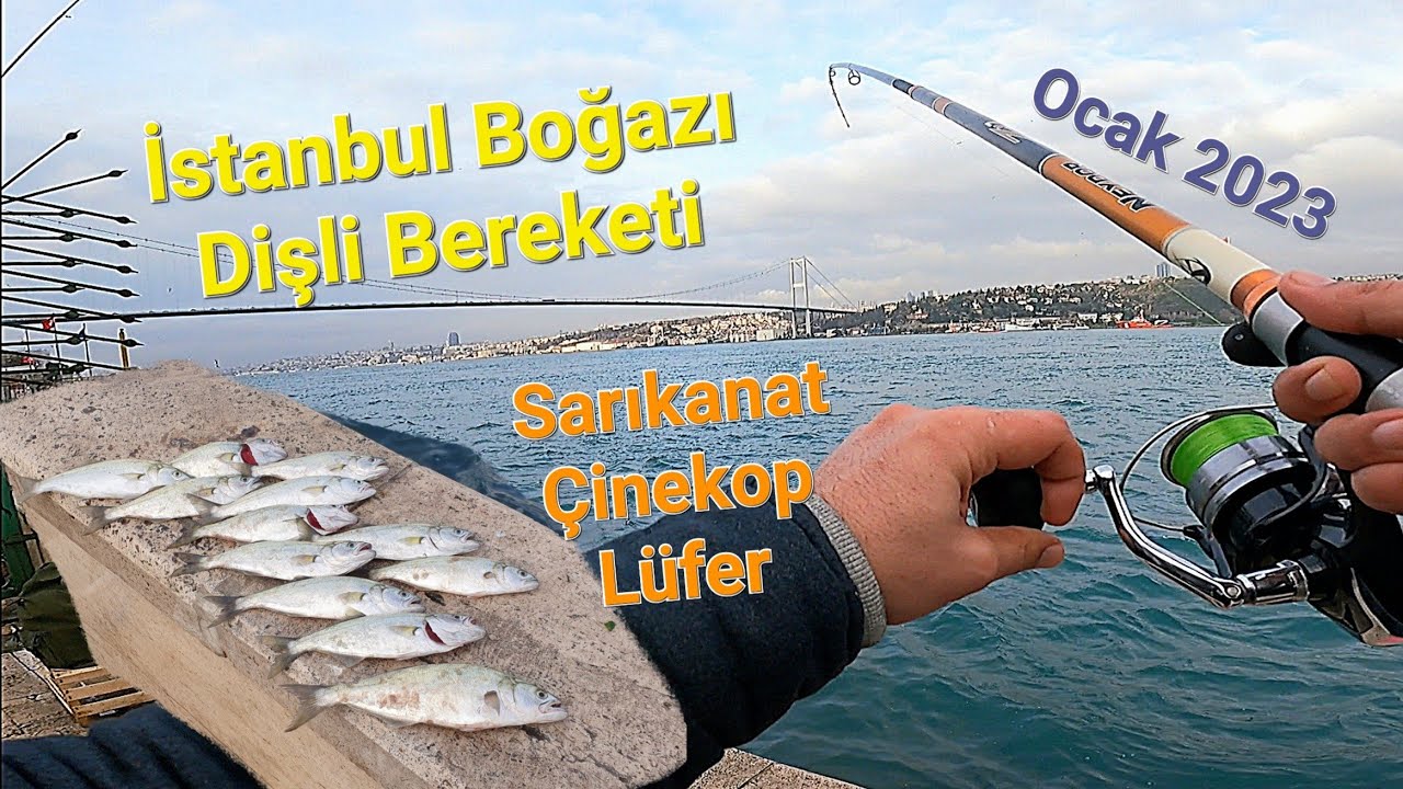 BOĞAZ'I BALIK BASTI! - Kurşun Arkası Teknik ile Balık Avı - Lüfer | Sarıkanat | Çinekop