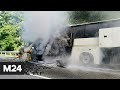 На Кубани столкнулись два автобуса: более 10 пострадавших - Москва 24