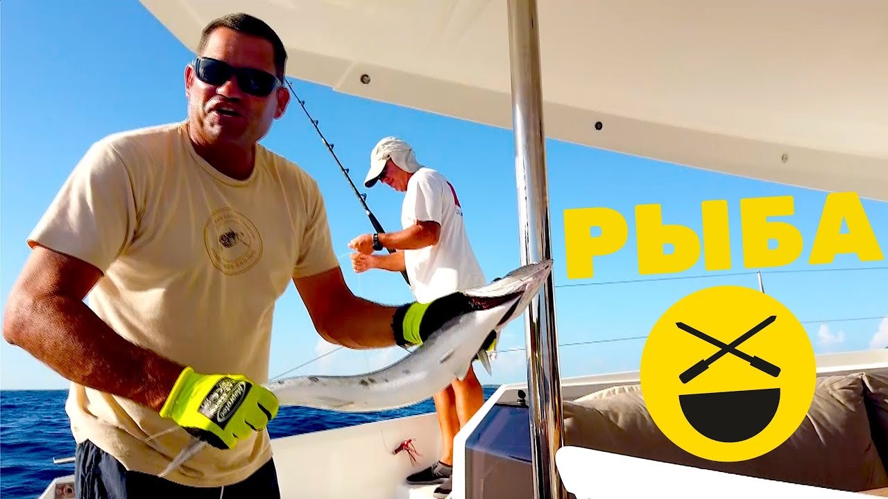 Куба, севиче по рецепту Сталика Ханкишиева, Россия, сибас, кориандр, кулинарная книга, дачный ответ