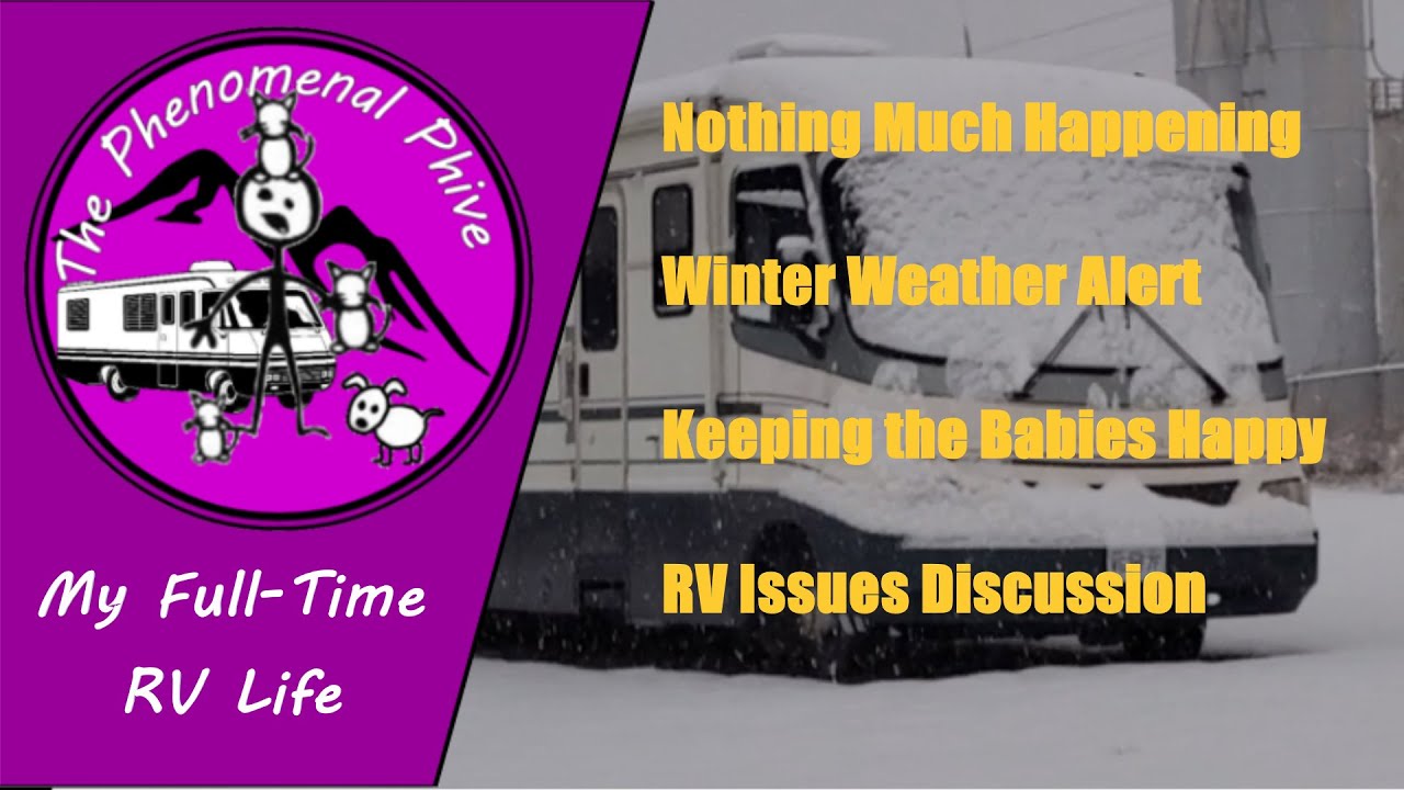 RV'ing With Pets - Nothing Much Happening / RV Issues Discussed