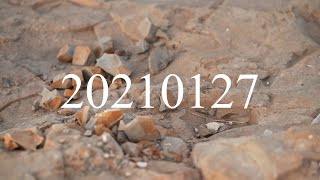 20210127 Shore