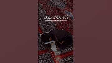 ما تيسر من سورة الشورى #ناصر_القطامي @1___1N__846