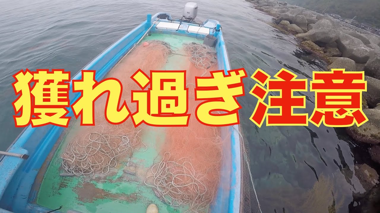 【超大漁】テトラの横に網を仕掛けてみた結果