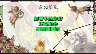 断联中的你们还有机会破镜重圆吗?#复合 #分手 #感情 #塔罗 #分手