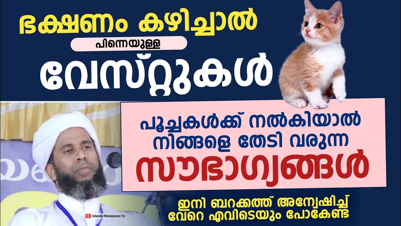 വേസ്റ്റുകൾ പൂച്ചകൾക്ക് നൽകിയാൽ നിങ്ങളെ തേടി വരുന്ന മഹാ സൗഭാഗ്യങ്ങൾ | ഇബ്റാഹീം സഖാഫി താത്തൂർ 