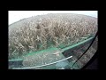 John Deere 9770 in cab GoPro head cam view Corn Harvest 2017