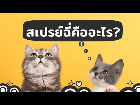 วีดีโอ: ฉันควรเอาปลาที่ตายออกจากถังหรือไม่?