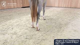 Alegro II vd Donkhoeve