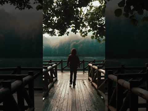 فاضي شوية حمزة نمرة بدون موسيقى