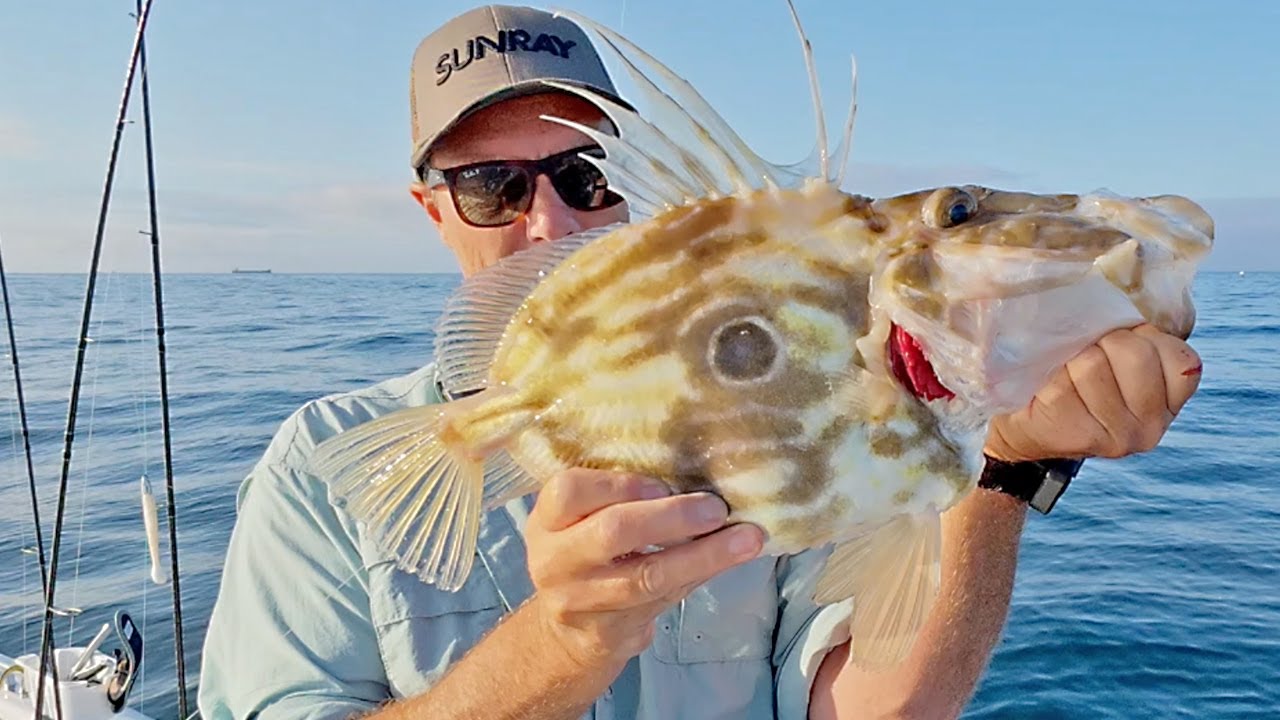 Best UK Lure Fishing Day | Ultralight Reef Fishing in Cornwall