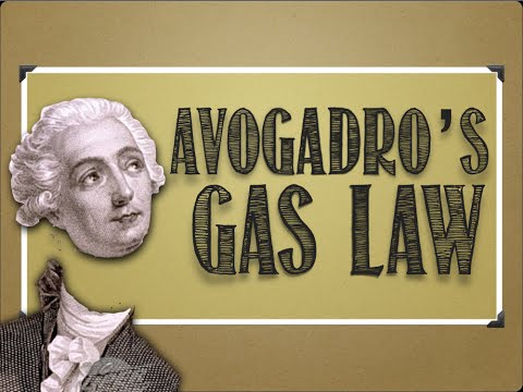 Gases: Avogadro&rsquo;s Law