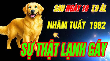 SỰ THẬT LẠNH GÁY Tuổi NHÂM TUẤT 1982 đúng từ sau ngày 10 Tháng 9 âm 2025 CHƯA TỪNG TIẾT LỘ