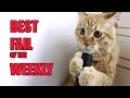Очередная подборка фейлов за неделю //Funny video of the weekly