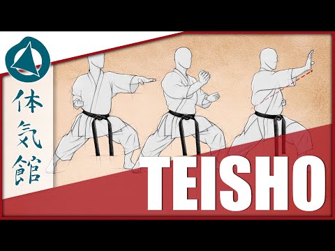 HOW TO: TEISHO | Shōtōkan Karate Technique by Fiore Tartaglia