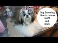 Dog Grooming -How to remove Mats and Knots