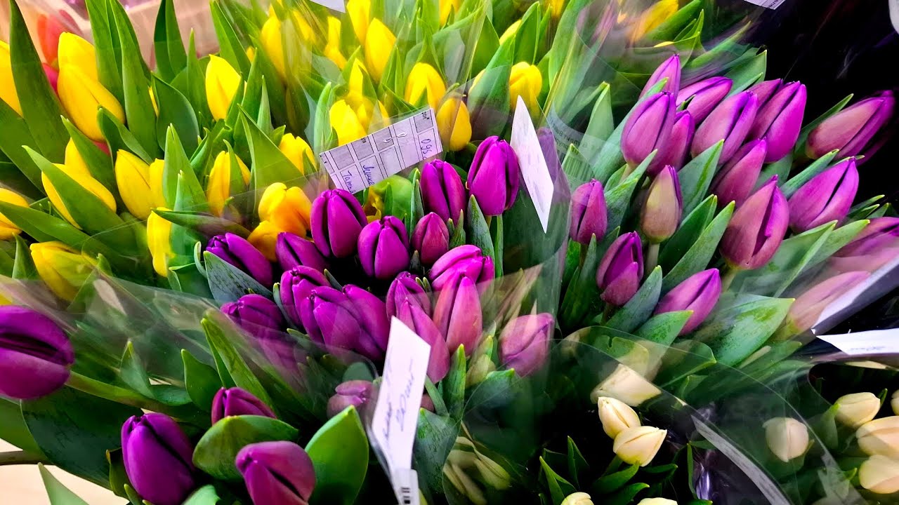 Почём цветы на 8 марта. 4.02.2026