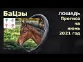 ЛОШАДЬ прогноз на июнь 2021 от Анны Зайцевой