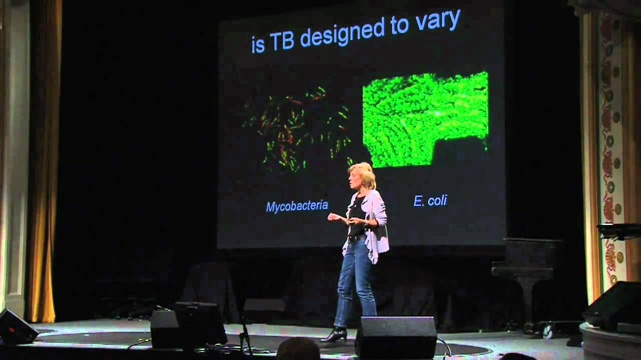 Sarah Fortune: Fighting TB
