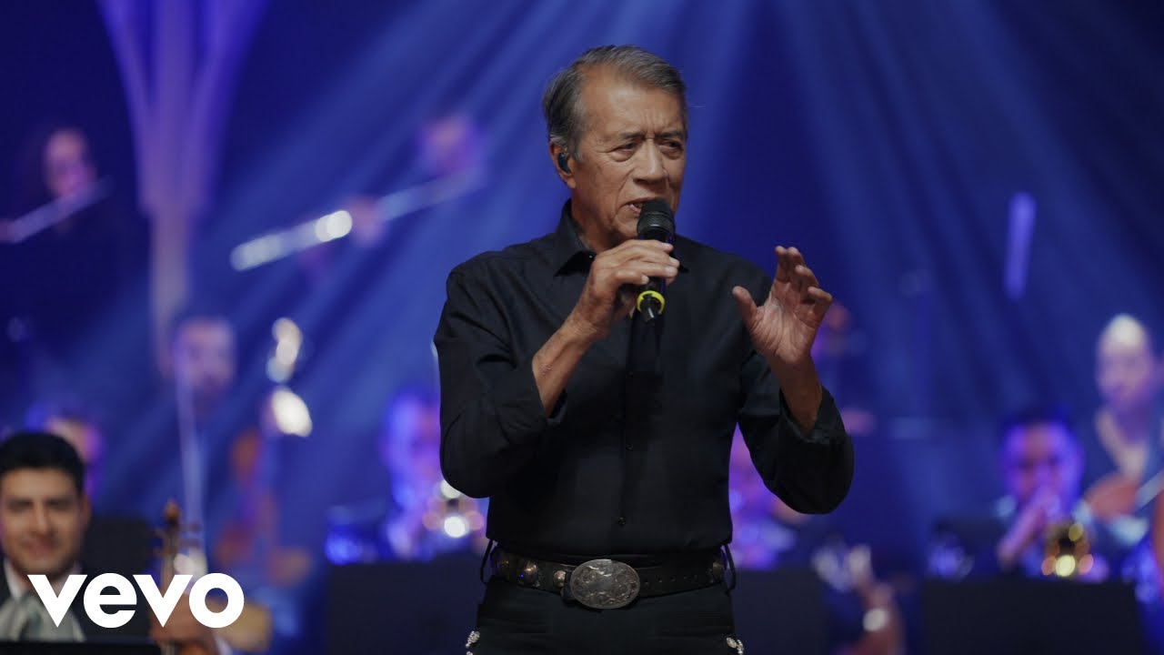 José María Napoleón, Mariachi Vargas De Tecalitlán - Pajarillo (En Vivo)