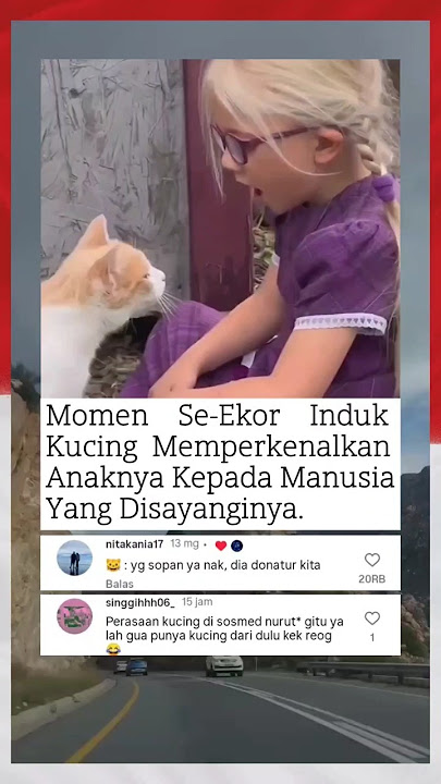 Ketika peri kemanusiaan & peri kebinatangan dlm satu tempat😍 #foryou #motivasi #trendingshorts #fyp