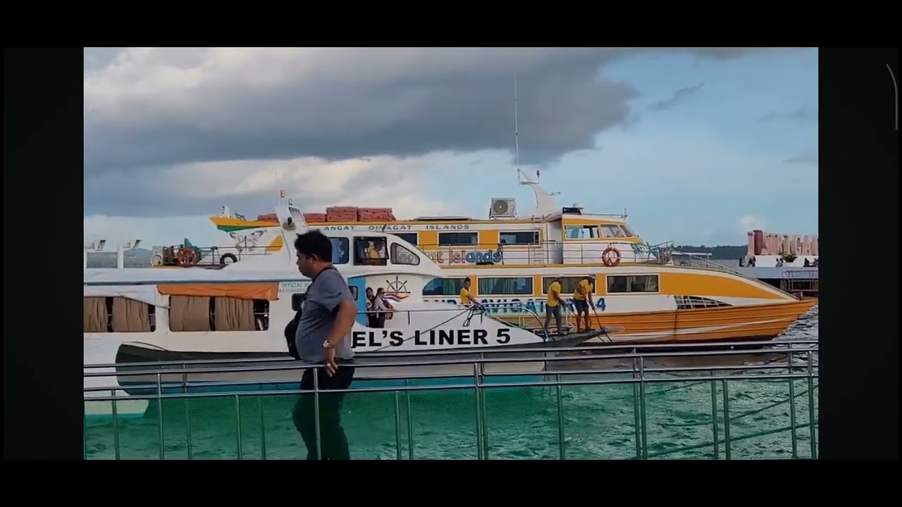 Spotted NATO ang viels liner 5