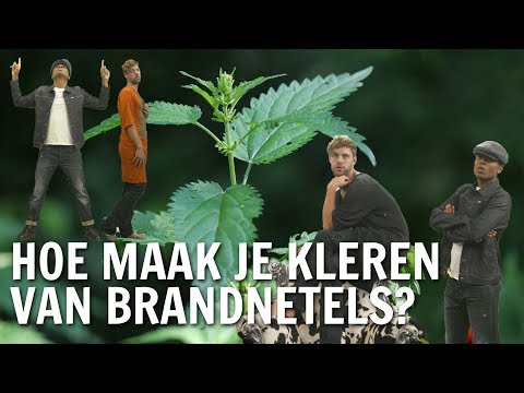 Video: Hoe Om Brandnetelsop Te Maak
