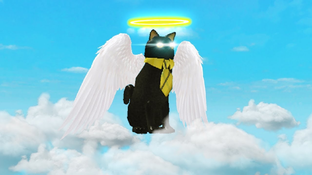 Sir Meows A Lot Becomes A Roblox God Roblox Movie Youtube - making sir meows a lot a roblox account