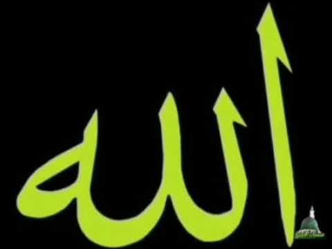 كؤوس حبك ياخير الورى ملأت قلبي وروحي فمالي عنك سلوان ففي هواك نعيم لا يضارعه حور وزهز وجنات وريحان