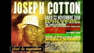 Reggae Way Of thinkinG Mix Vid.. JosePh Cotton Double BARREled.wmv best seNsual REGGAE