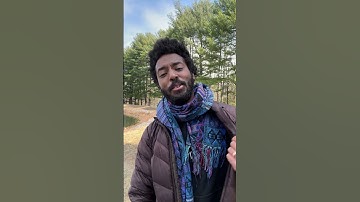 First Time Shooting Large Format Film