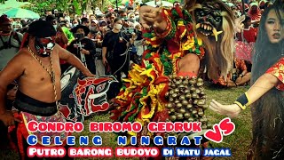 Condro Birowo Gedruk feat Celenk Ningrat // Live Putro Barong Budoyo Watu Jagal