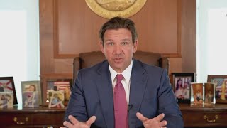 Hillsborough commissioners vote to participate in state-level DOGE team