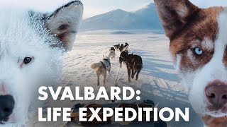 SHORT FILM: Musher Jan Hvízdal - Svalbard [ENG SUBS]