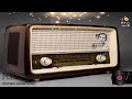 رجاء عبده   حبايبى كتير يحبونى  ✿ زمن الفن الجميل ✿