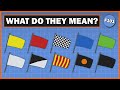 What do all the flags mean in F1?