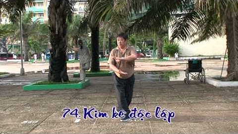 Thái cực chưởng