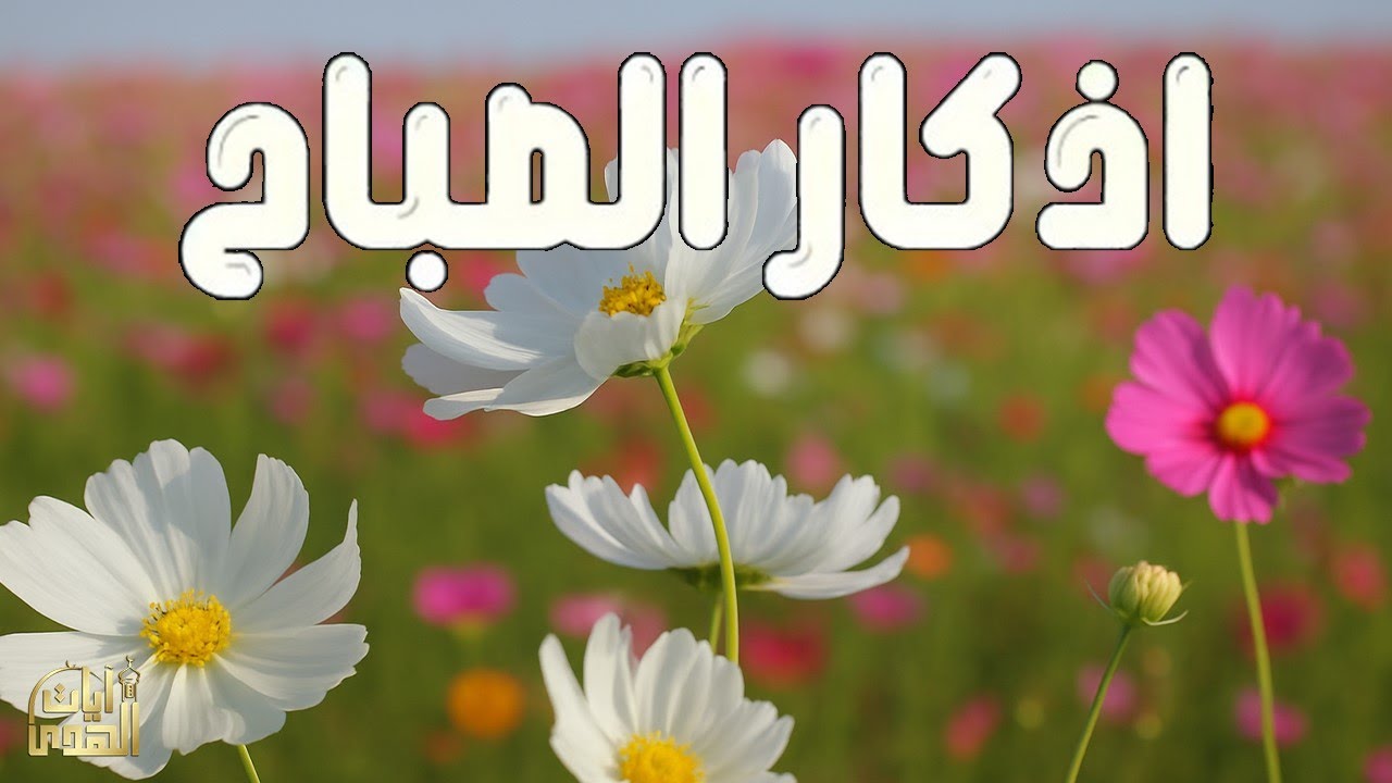 أذكار الصباح - راحة نفسية لا توصف بصوت القارئ علاء عقل | Morning Athkar - Dzkir Pagi by Alaa Aql
