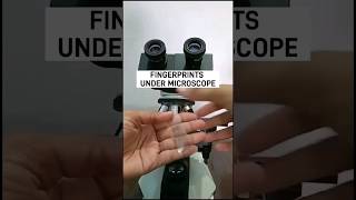 Fingerprints under microscope 🔬 #shorts #ytshorts #microscope #fingerprint #viralvideo